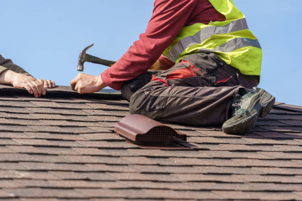 Best Residential Roofing Contractor  in Lanett, AL