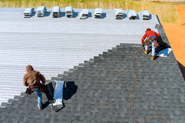 Roof Gutter Cleaning in Lanett, AL